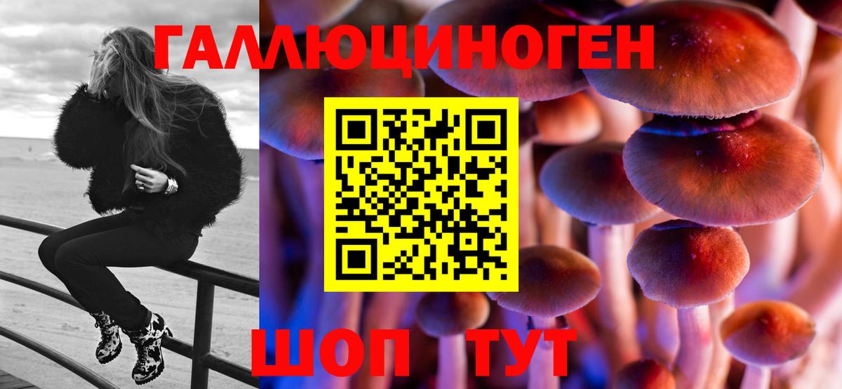 Псилоцибиновые грибы Psilocybe Баксан